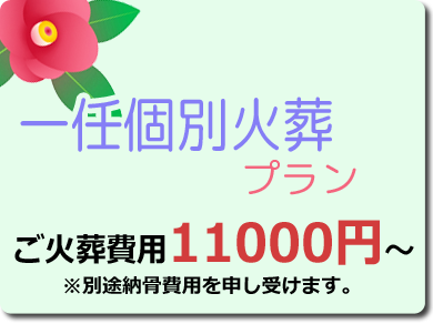 個別一任火葬プラン